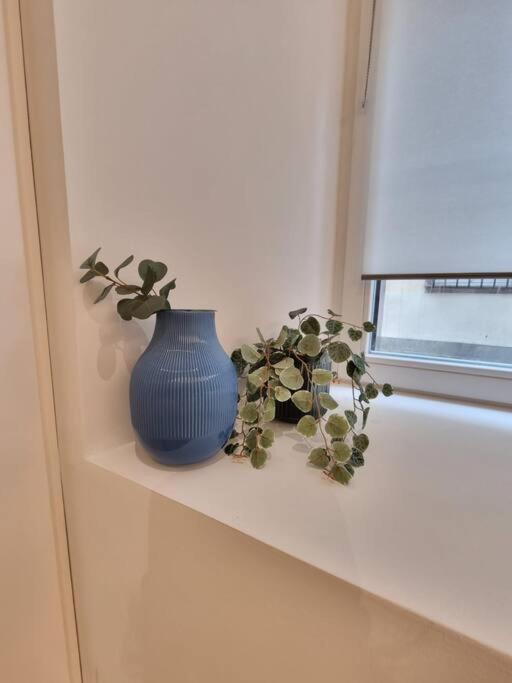 Les Appartements Hyper Centre Strazburg Dış mekan fotoğraf